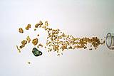 Abb. zeigt auf der rechten Seite bis 7 mm große Goldnuggets mit typisch dunkler Goldfarbe und schönen Glanz, auf der rechten Seite sieht man noch das Ende des Glasröhrchens aus dem das Gold ausgestreut wurde, von rechst nach links  beginnt das feine Gold und wird nach rechst immer breiter verteilt und größer.