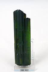 Abb. zeigt einen 11,5 cm langen stehenden tief günen Turmalinkristall mit längs Rillen.
