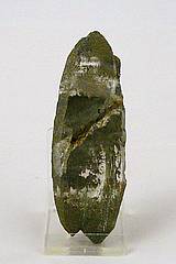 Abb. zeigt einen flachen doppelendigen Bergkristall der an einer Spitze steht, beide Spitzen sind mit grünem Chlorit überzogen, ebenso die hintere Fläche die durchscheint, der Kristall ist sehr rein und wirkt dadurch sehr dunkel.