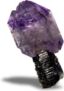 Zur Homepage Abb. Logo